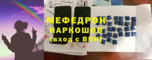 МДПВ Бородино