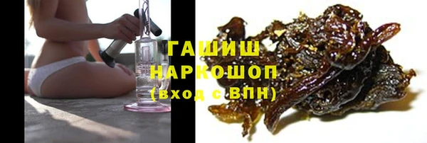 МДПВ Бородино