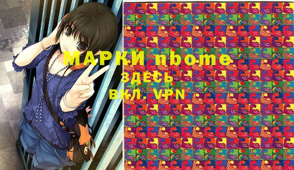 МДПВ Бородино