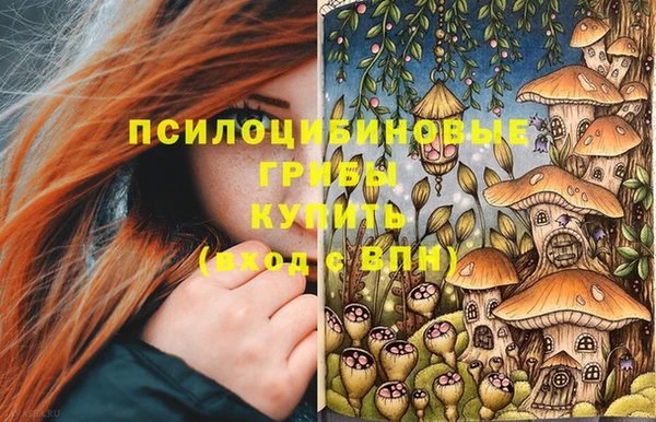 МДПВ Бородино