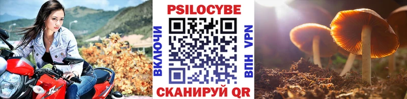 Псилоцибиновые грибы Cubensis  цена   МЕГА ONION  Дятьково 